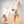 Load image into Gallery viewer, Indoor Climbing Wall
