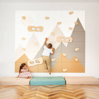 Indoor Climbing Wall