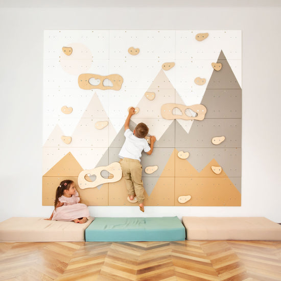 Indoor Climbing Wall