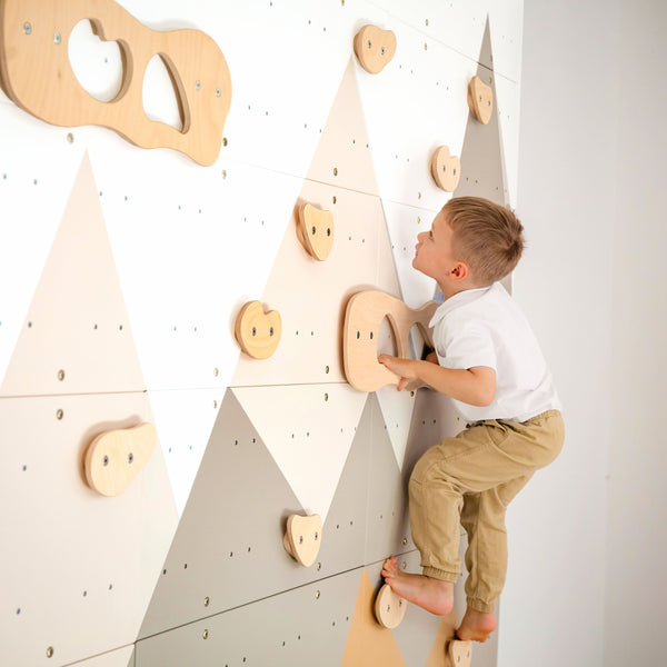 Indoor Climbing Wall