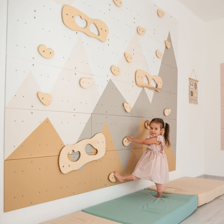 Indoor Climbing Wall