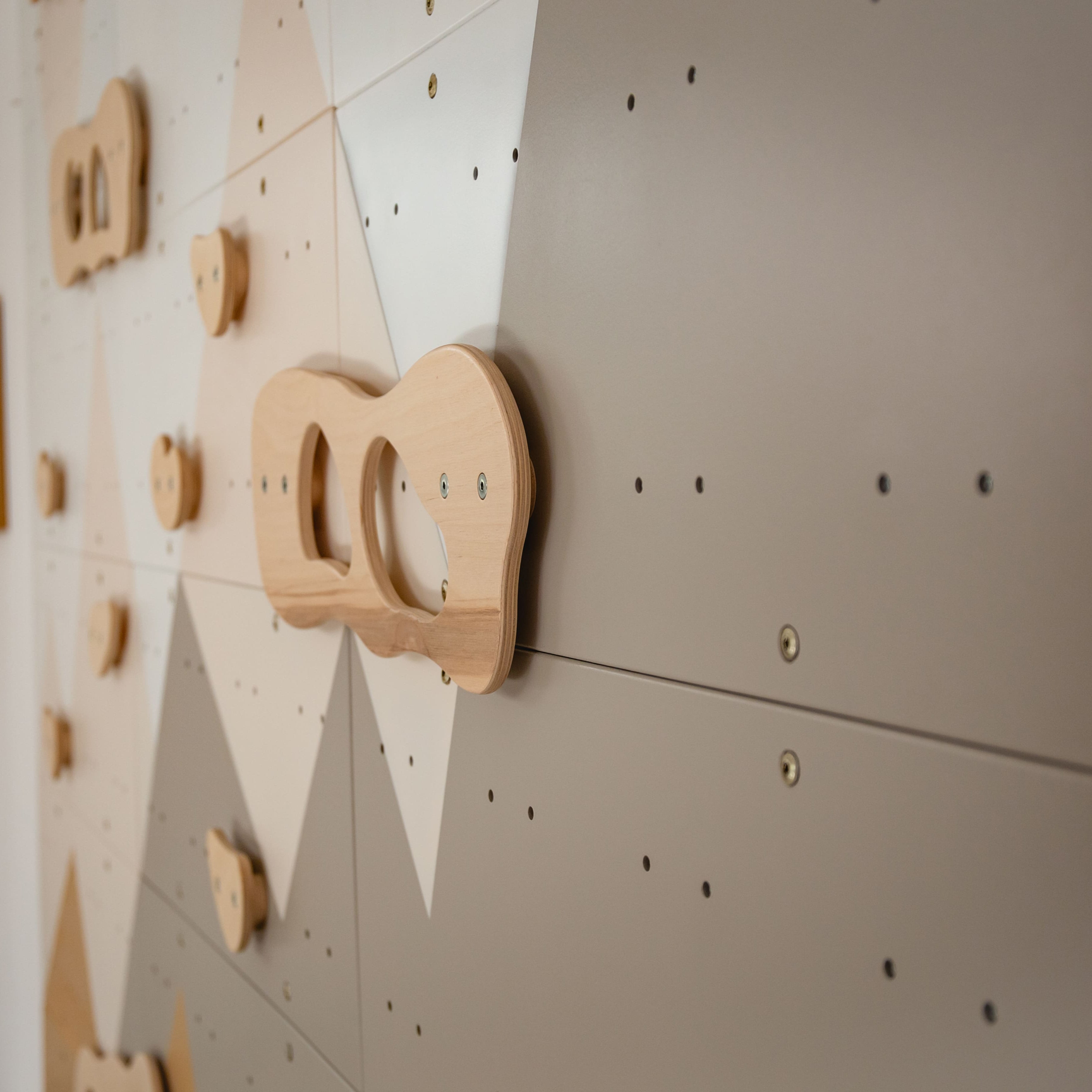 Indoor Climbing Wall