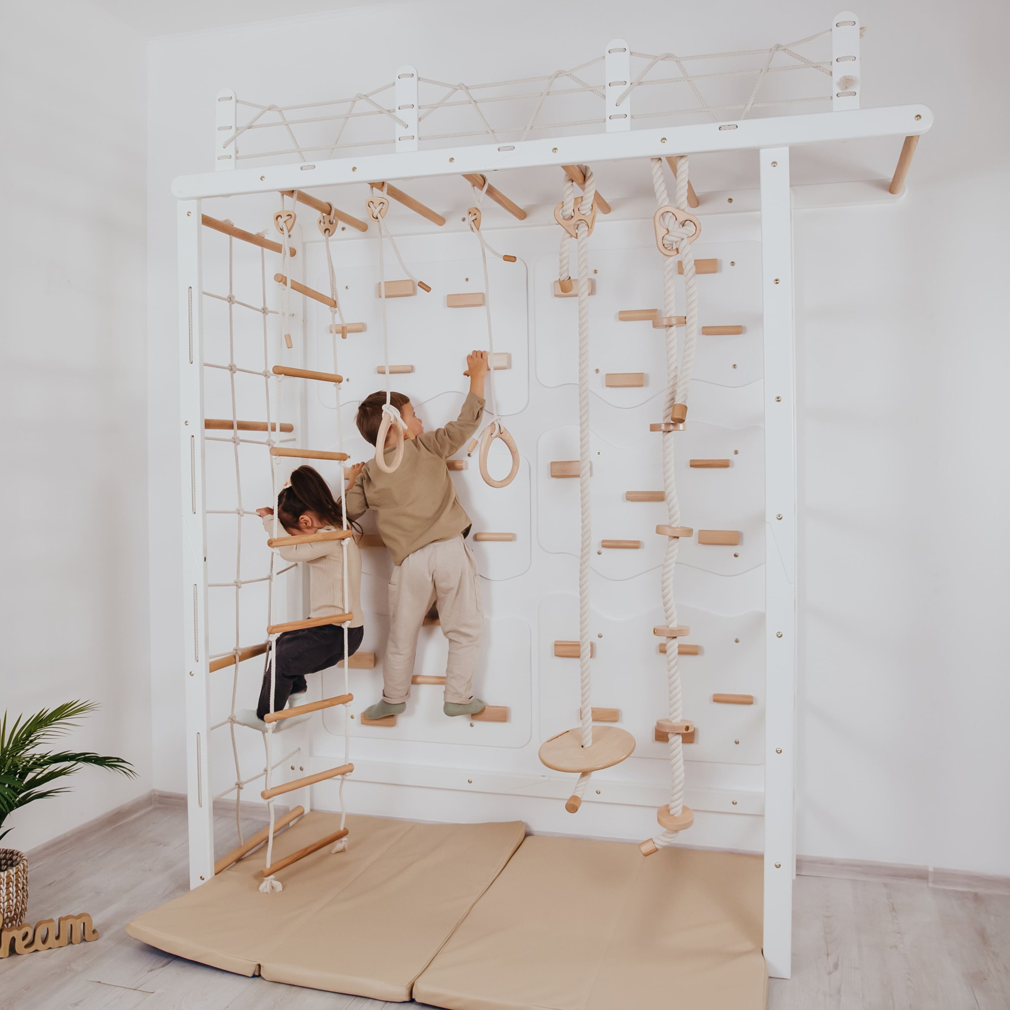 Playground Set with Monkey Bars