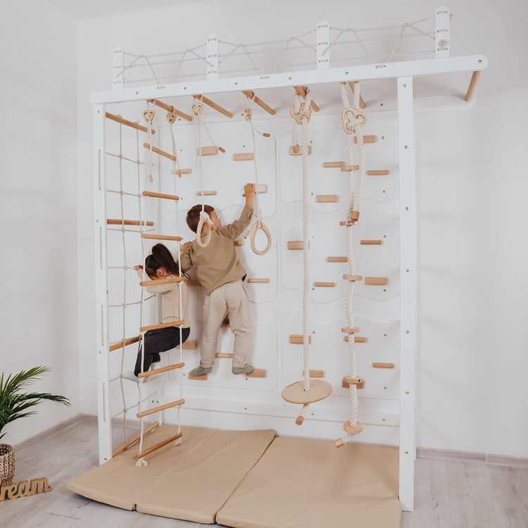 Playground Set with Monkey Bars