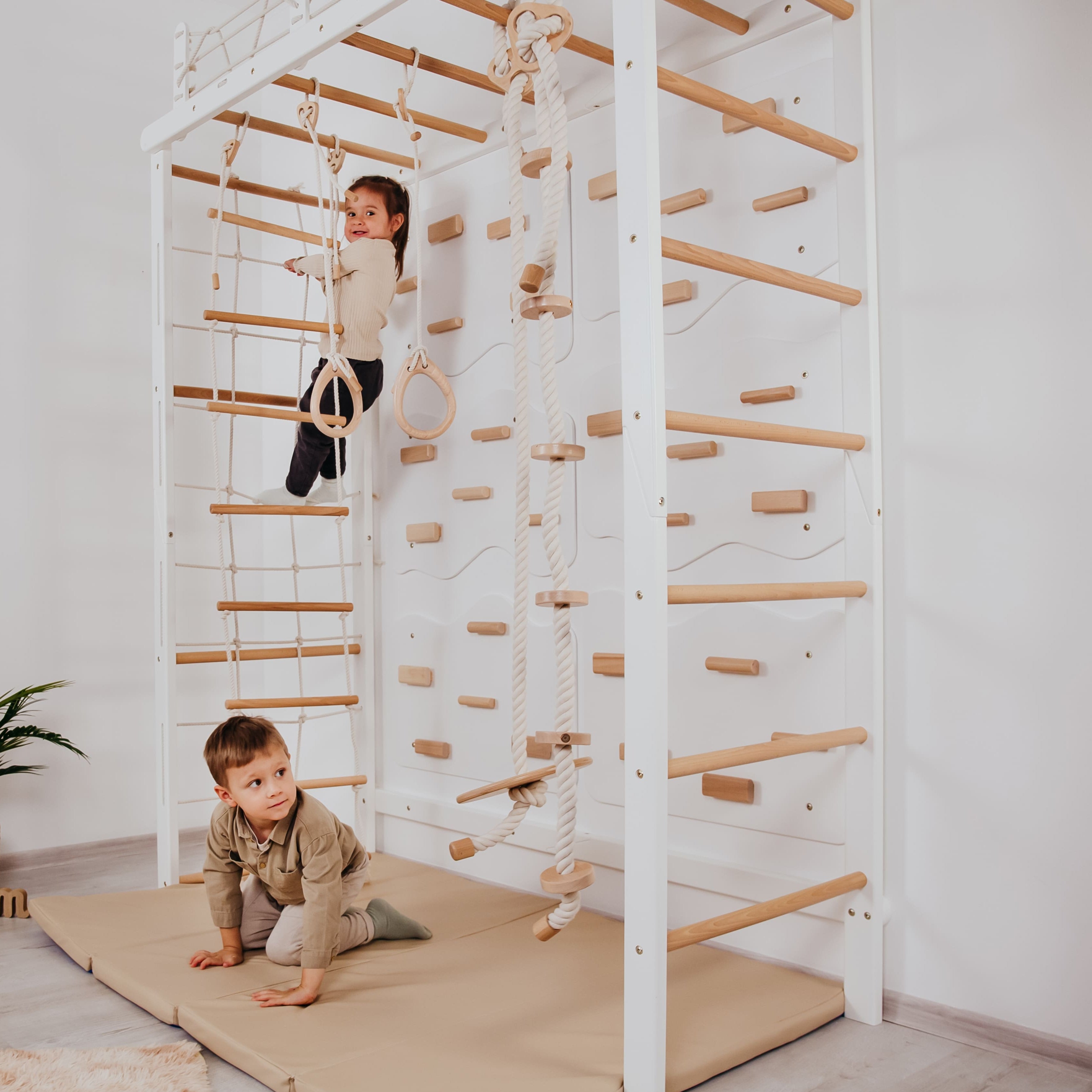 Playground Set with Monkey Bars