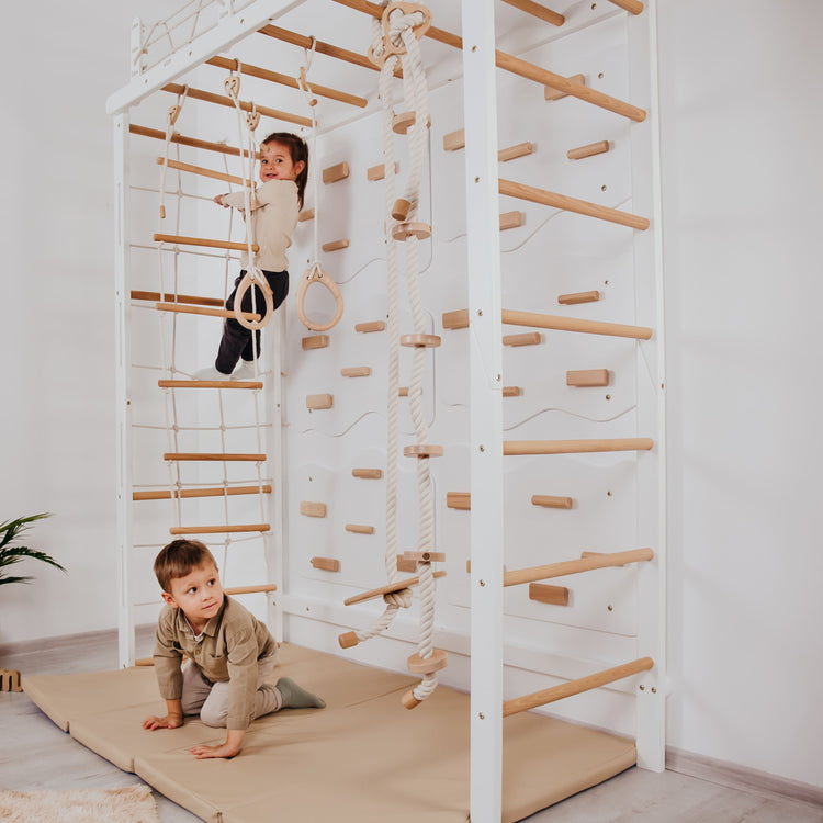 Playground Set with Monkey Bars