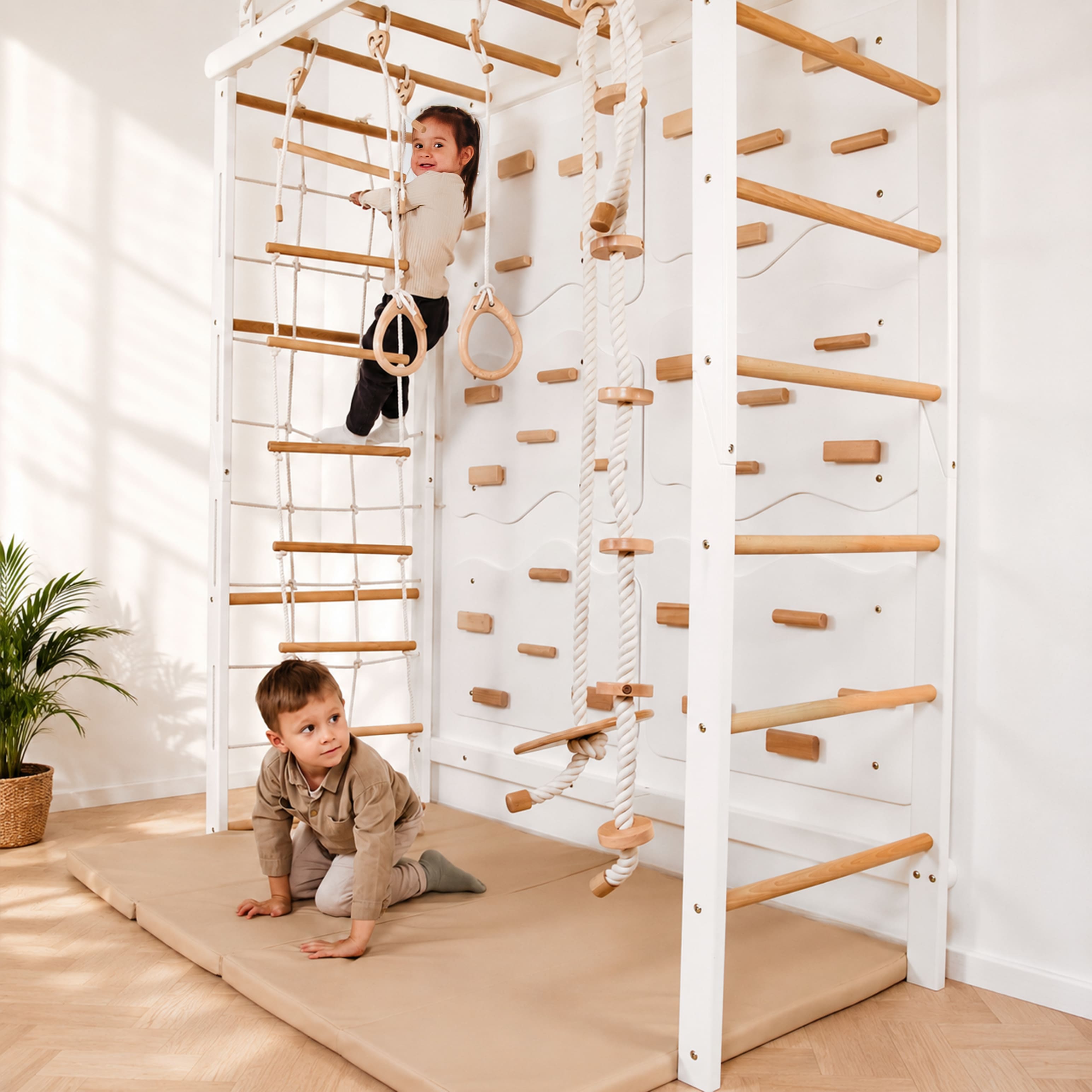 Playground Set with Monkey Bars