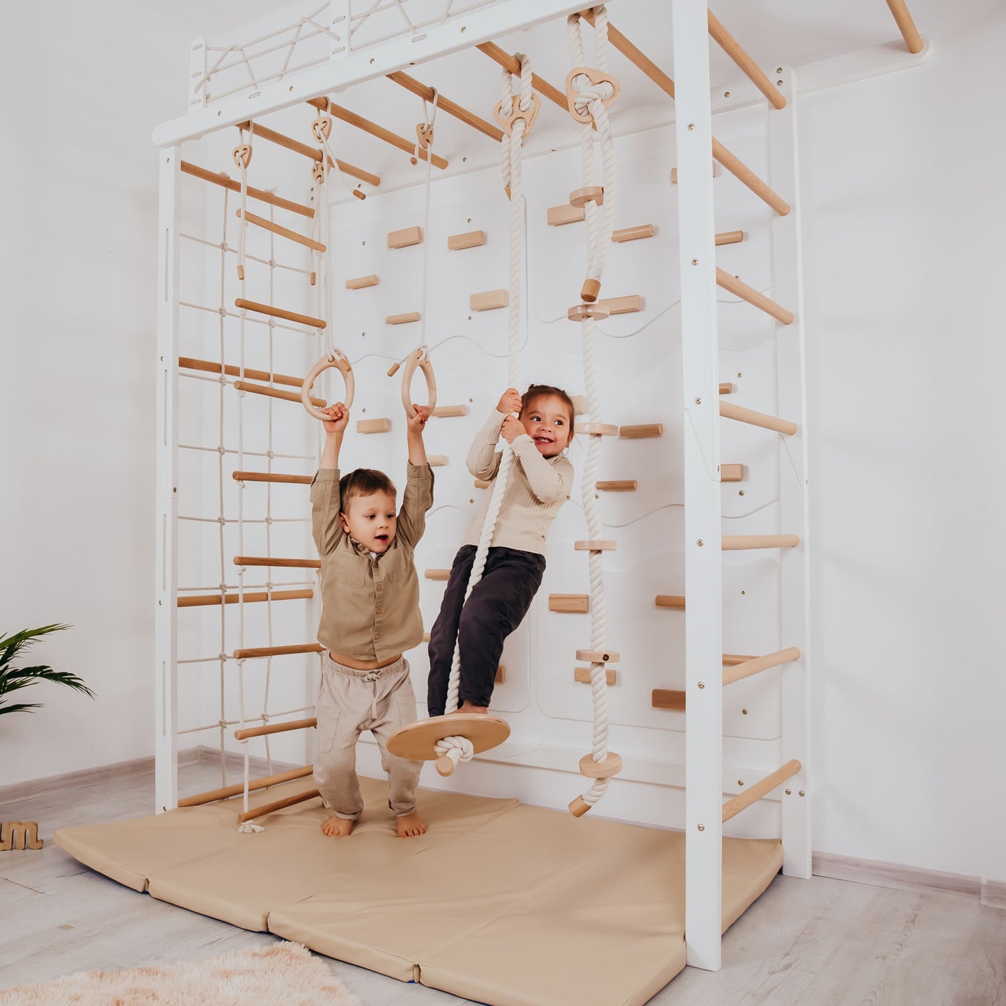 Playground Set with Monkey Bars