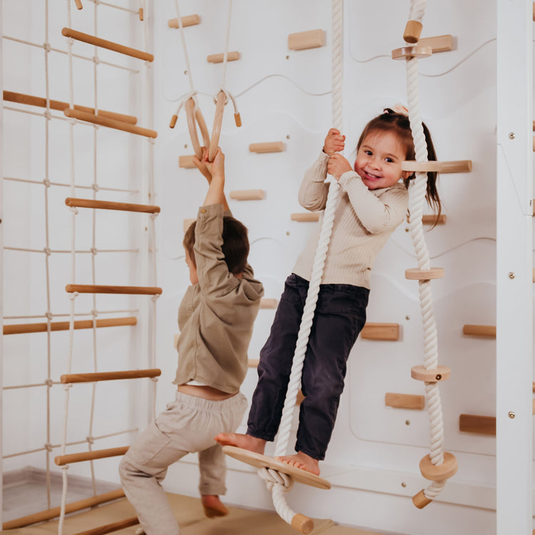Playground Set with Monkey Bars