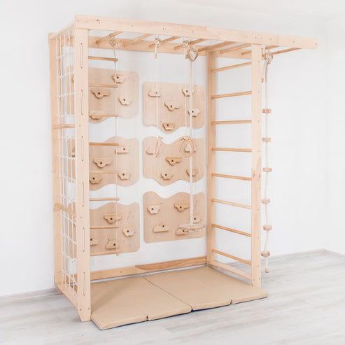 Monkey Bars with Swing Set