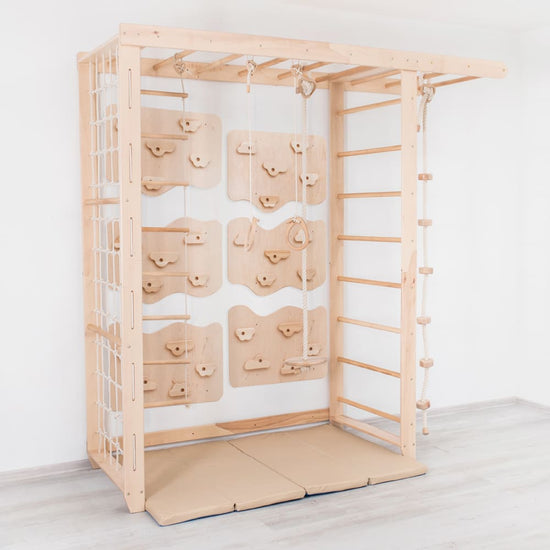 Monkey Bars with Swing Set