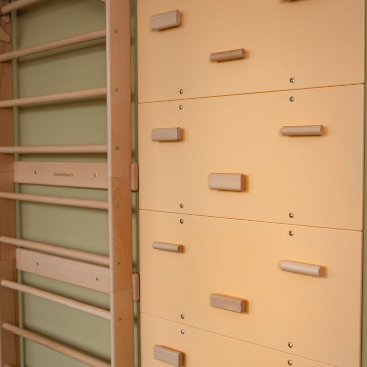 Swedish Climbing Wall