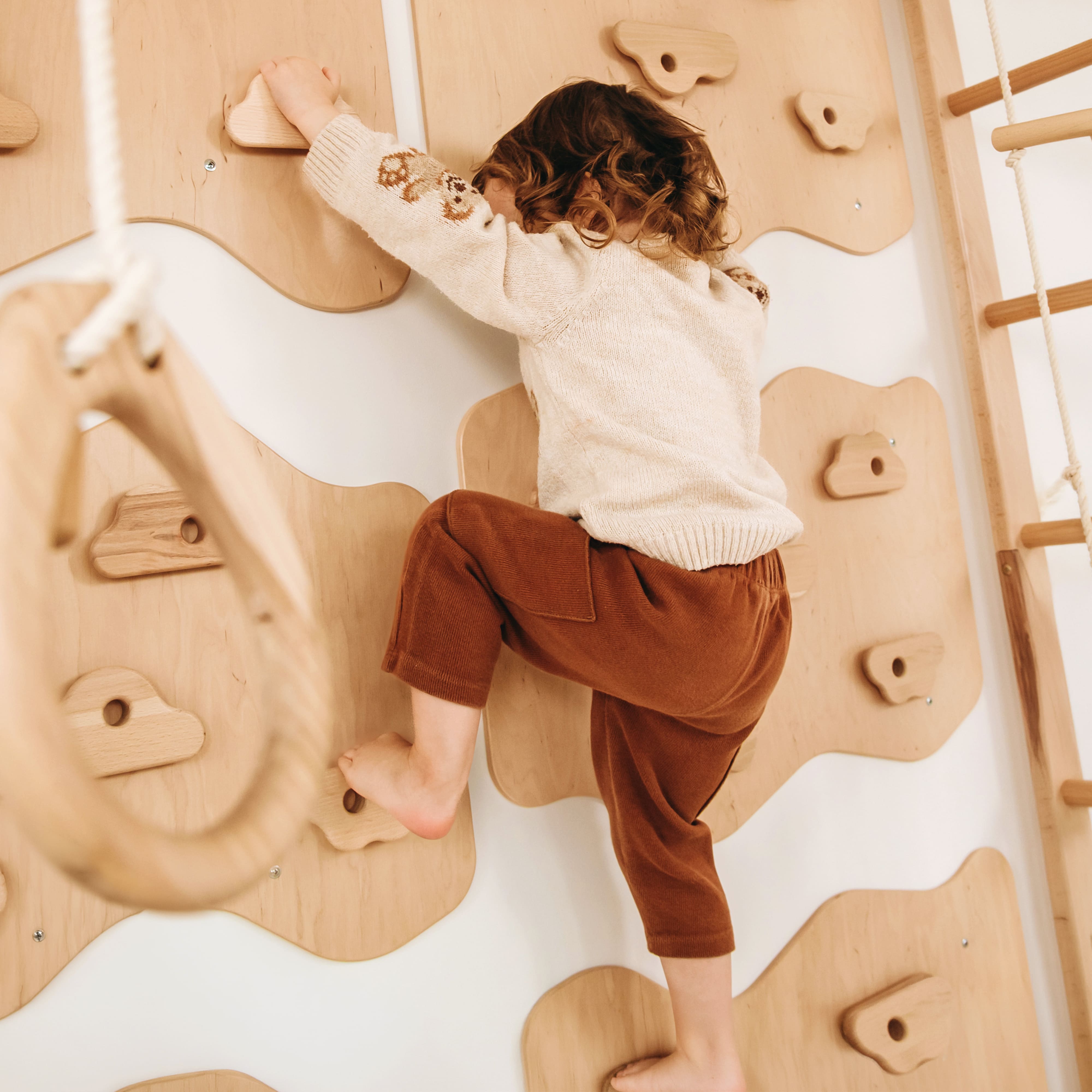 Monkey Bars Jungle Gym