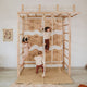 Monkey Bars Jungle Gym