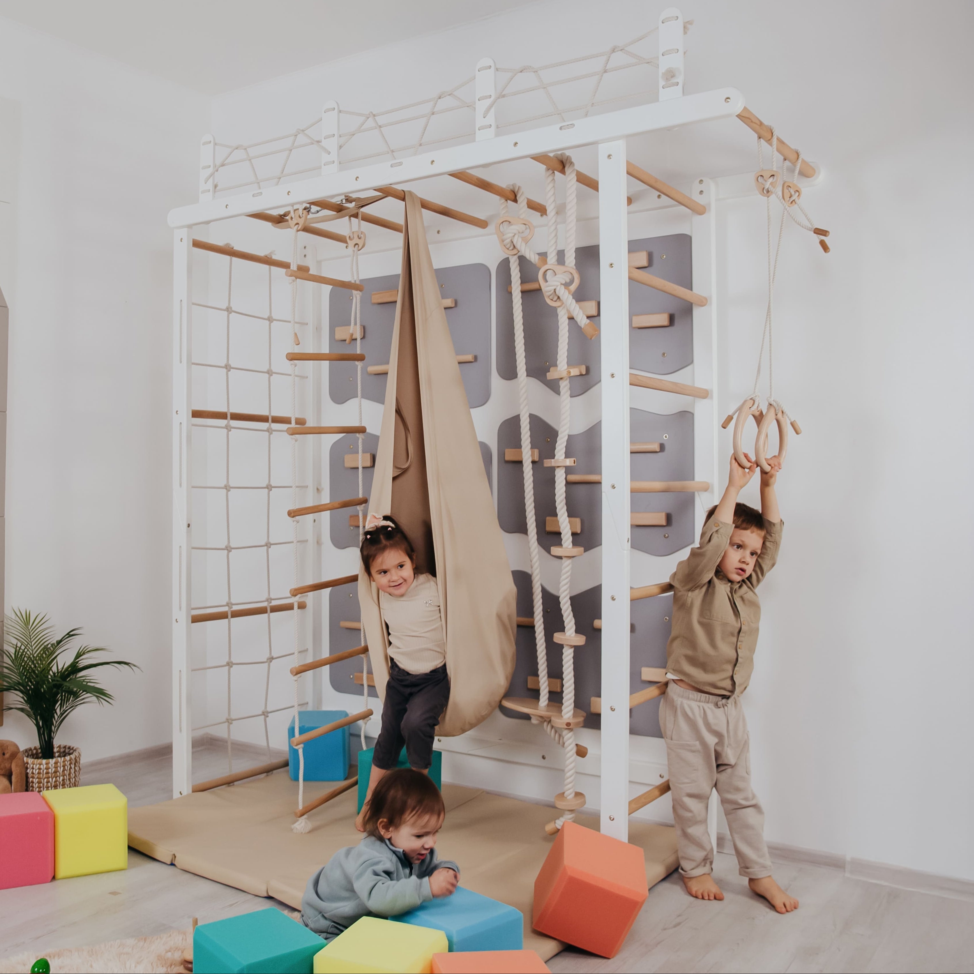 Playground Set with Monkey Bars