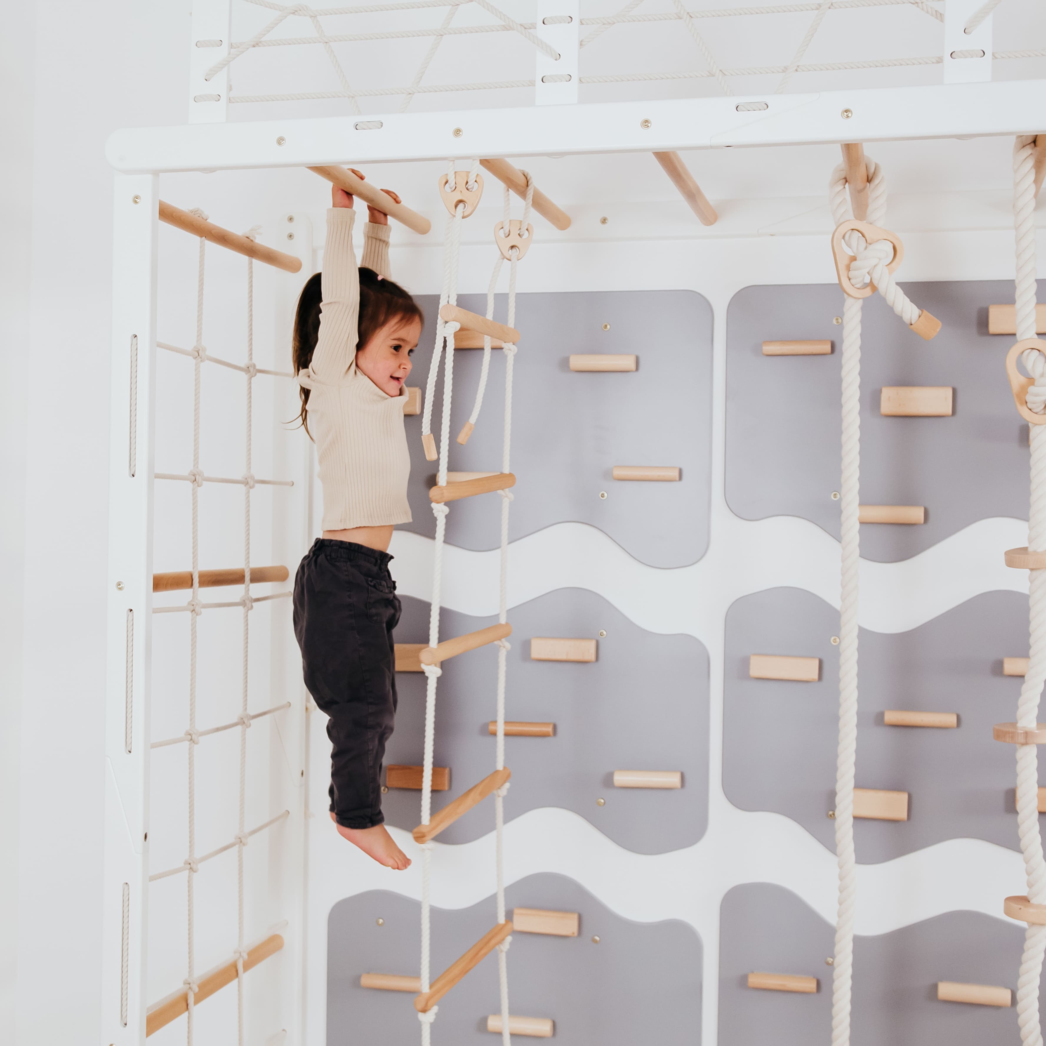 Playground Set with Monkey Bars
