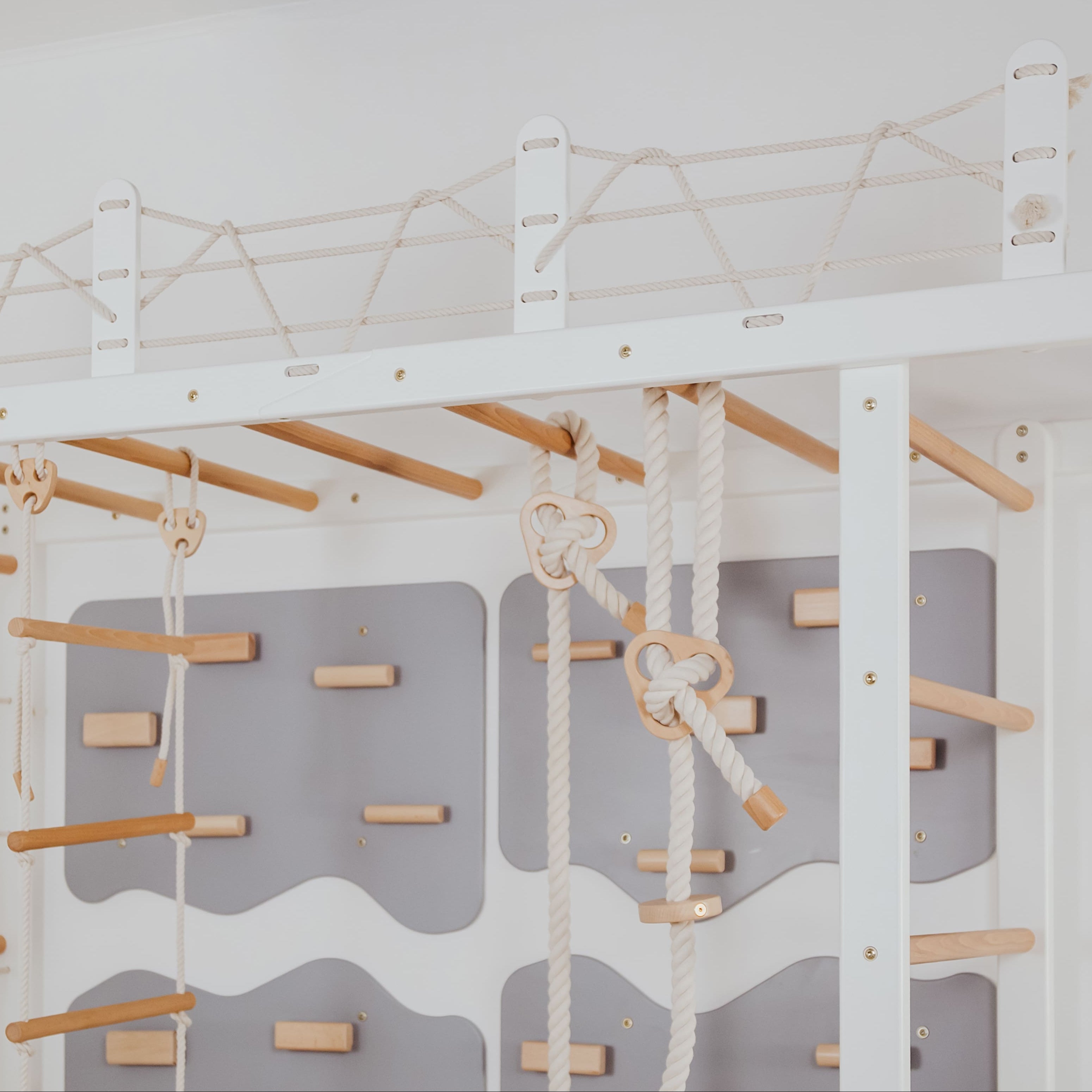 Playground Set with Monkey Bars