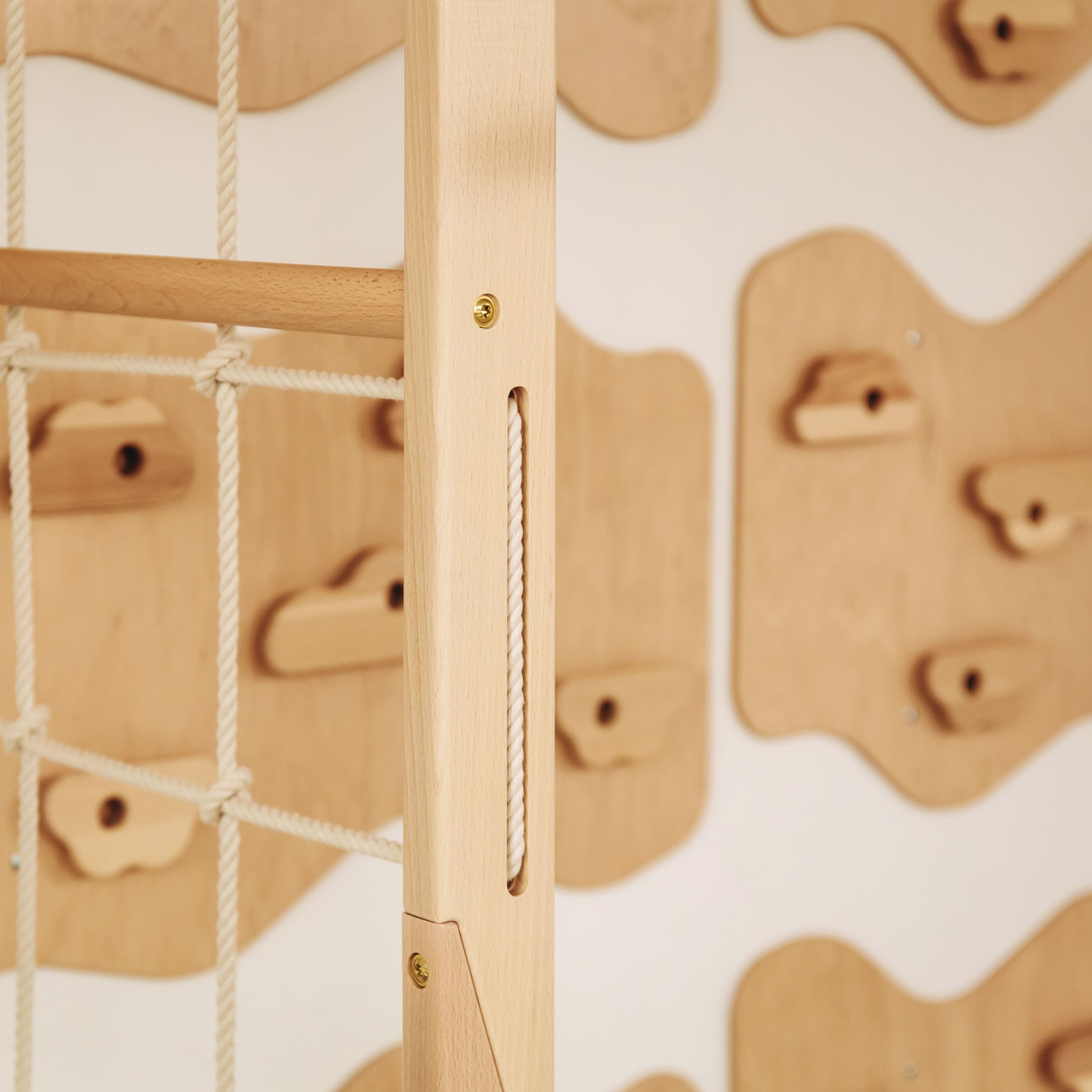 Monkey Bars Jungle Gym