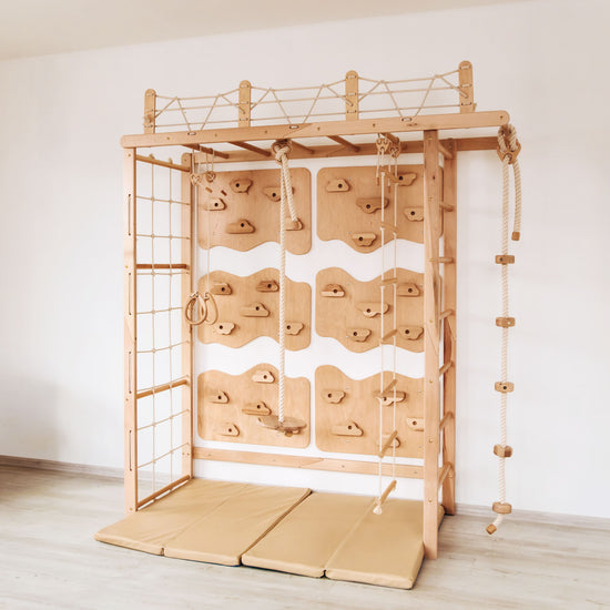 Monkey Bars Jungle Gym