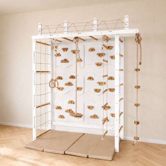 Monkey Bars Jungle Gym