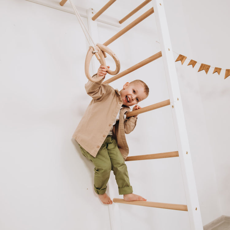 Indoor Monkey Bars