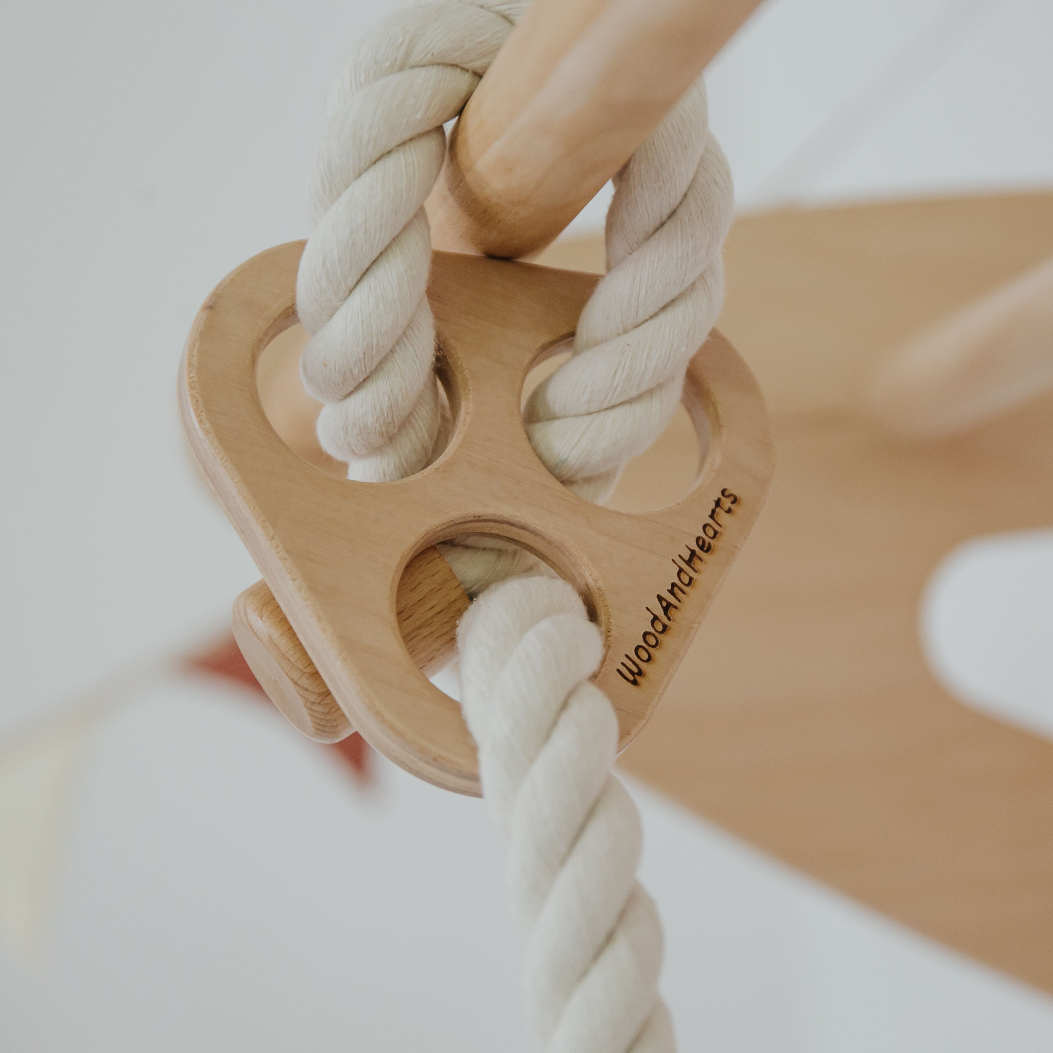 Disc Rope Swing