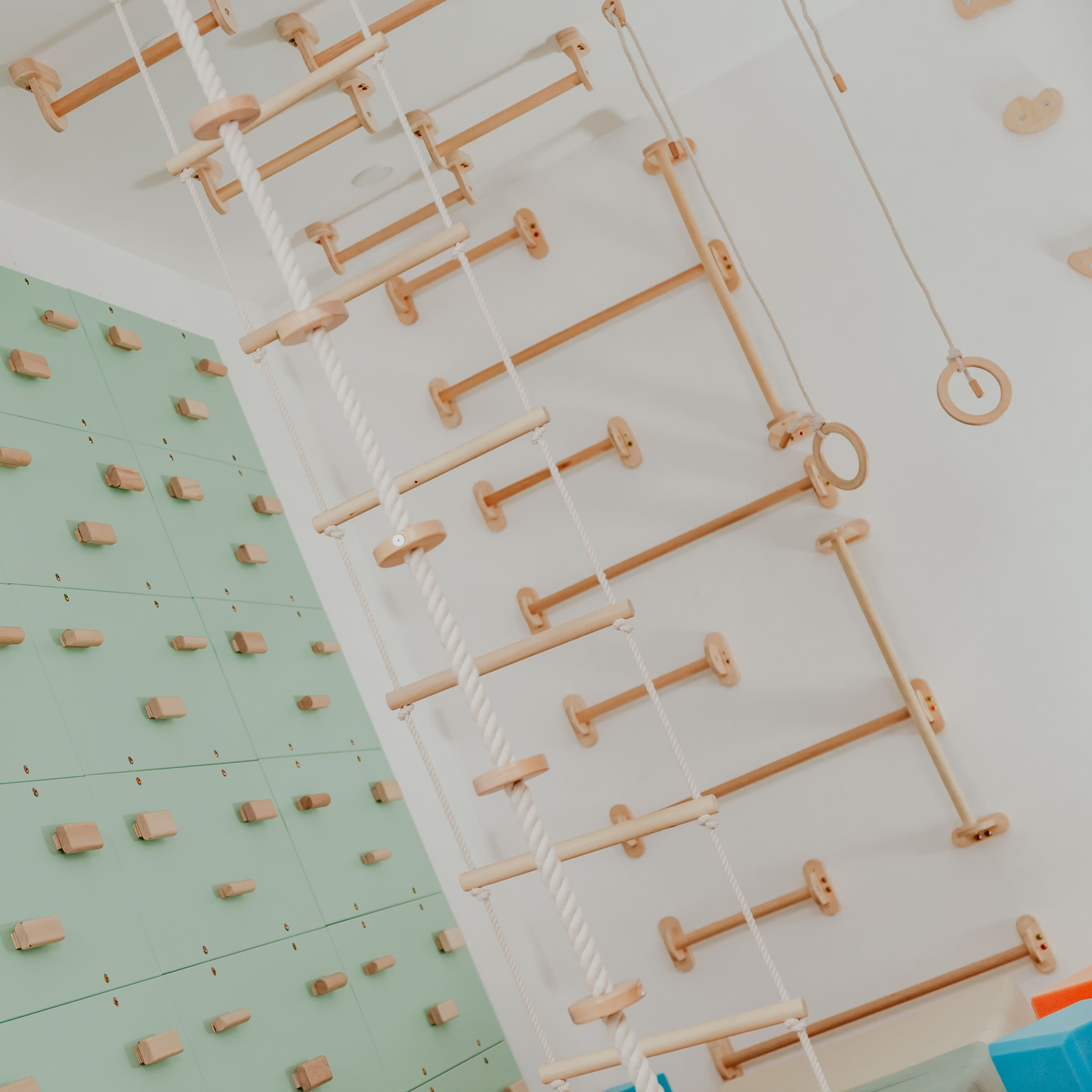 Home Monkey Bars