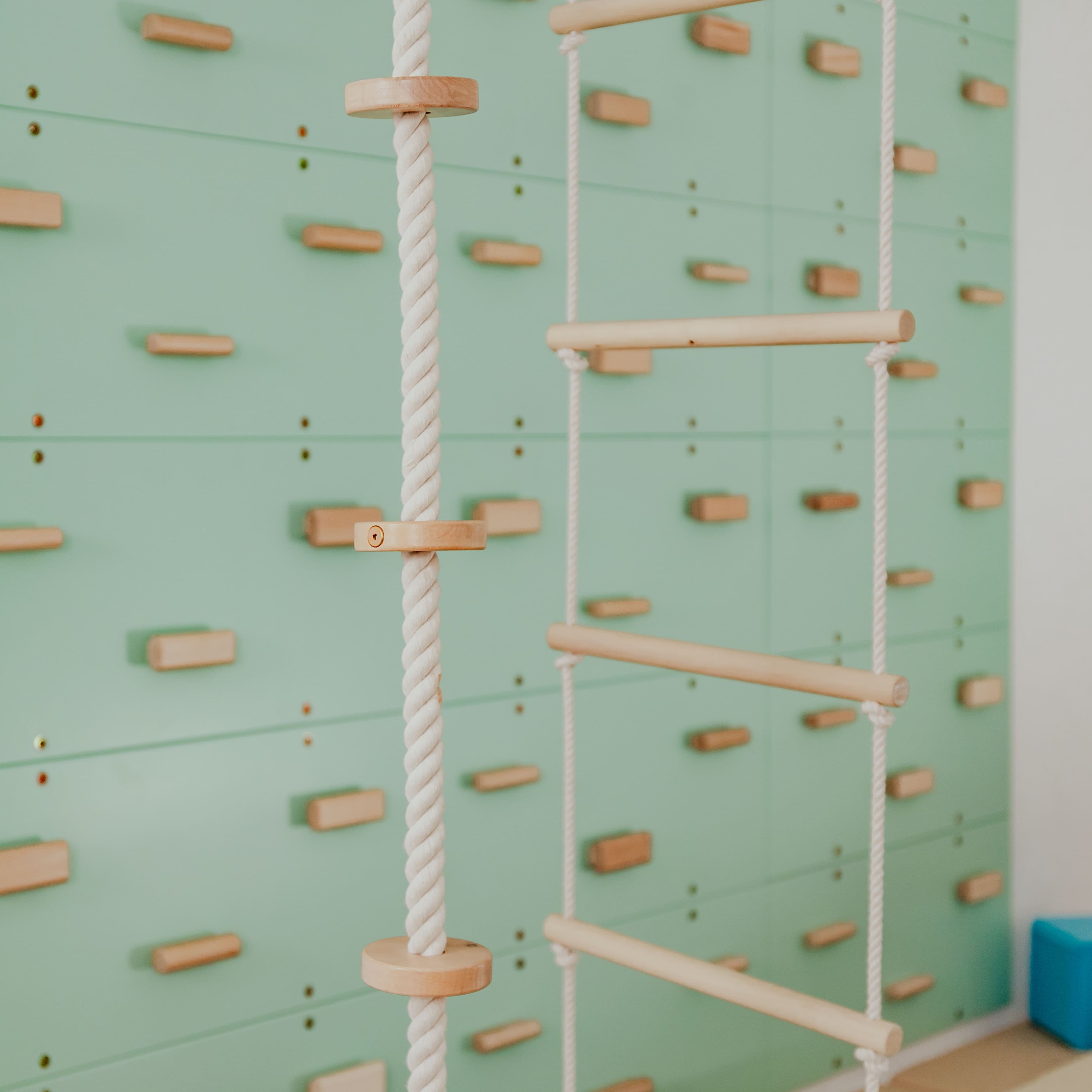 Kids Climbing Ropes