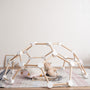 Wooden Climbing Dome