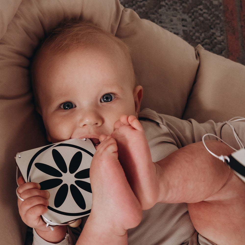 Baby Gym Toys