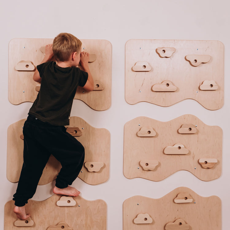 Home Climbing Wall