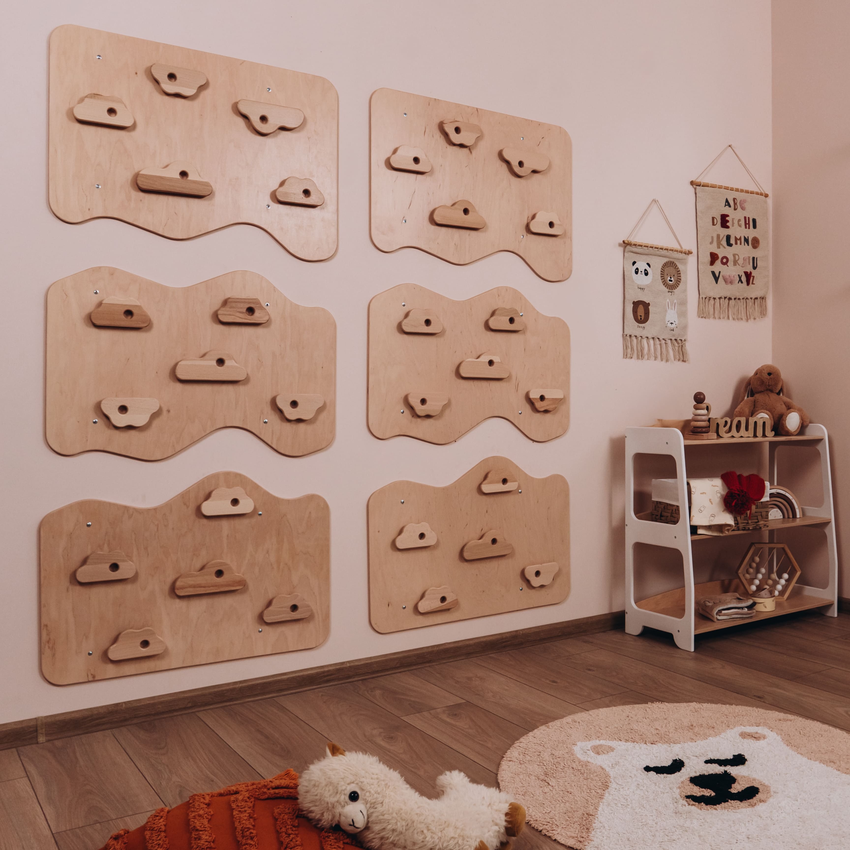 Home Climbing Wall