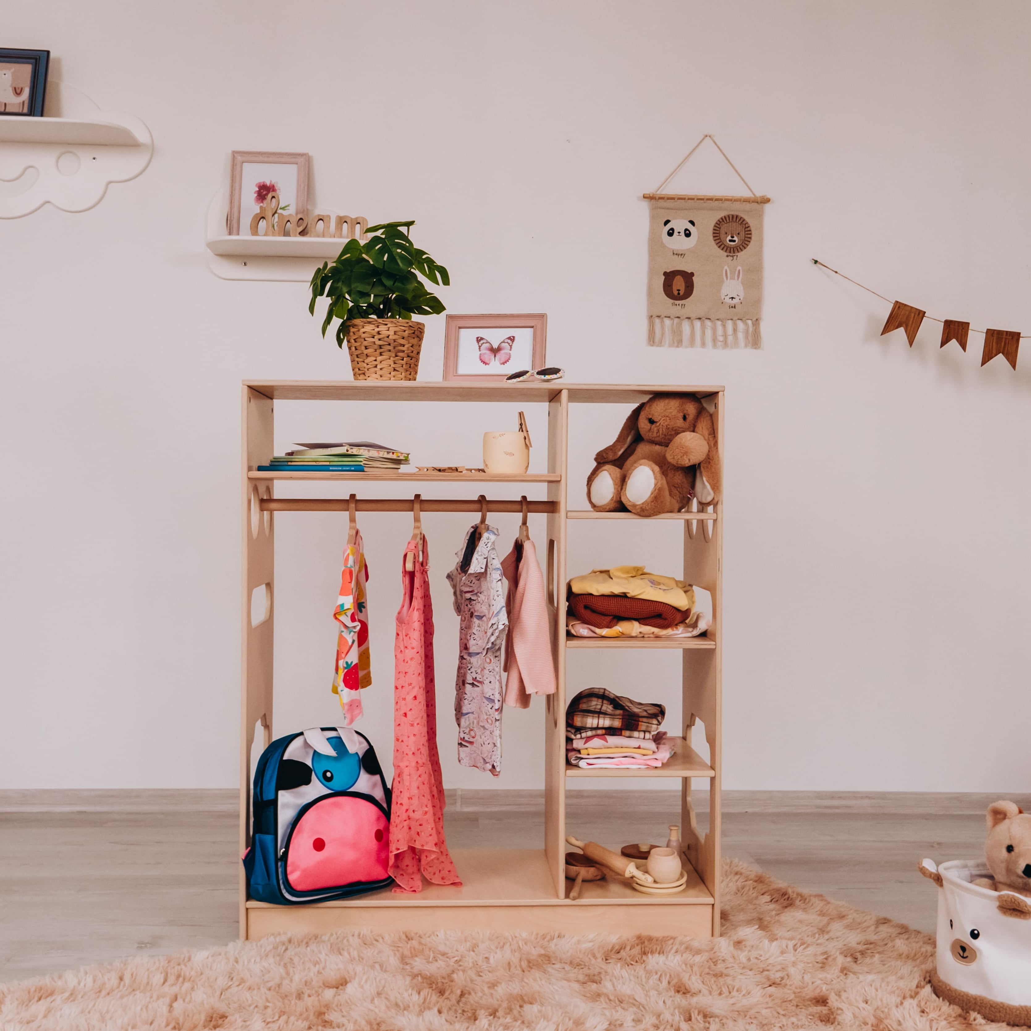 Montessori Closet