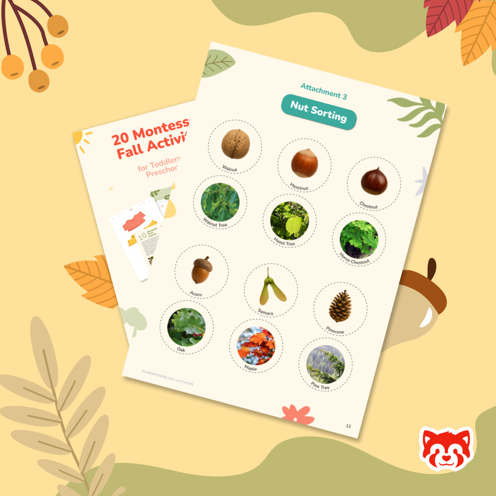 Fall Activities for Preschoolers