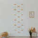 Rock Climbing Wall