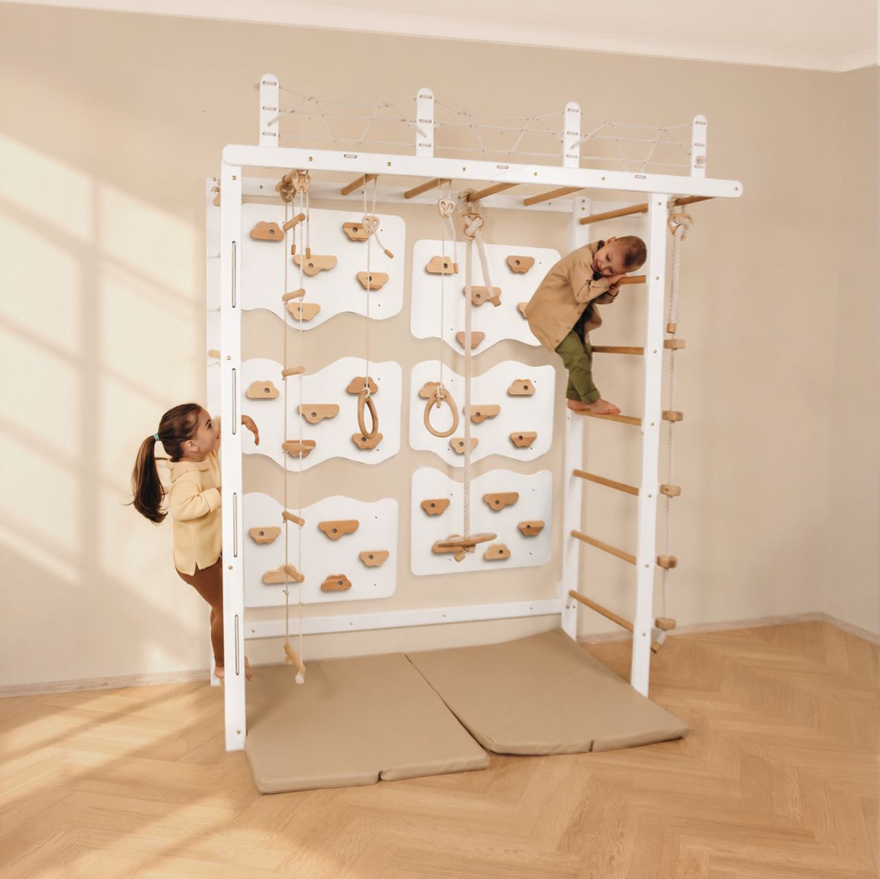 Monkey Bars Jungle Gym