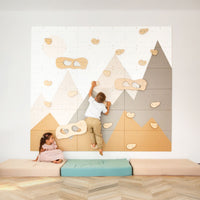Indoor Climbing Wall